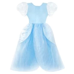 Cinderella Adaptive Costume For Kids -Disney 2841041618647 9