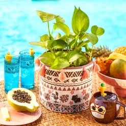 Moana Planter Cover -Disney 3408056577404 1