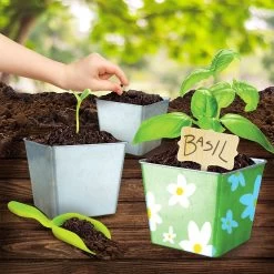 National Geographic Herb Garden Growing Kit -Disney 6103105634453 6