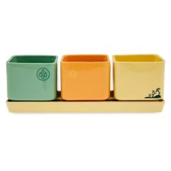 WALL&bull;E Herb Planter Set -Disney 6504056577412 3