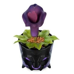 Black Panther Planter – World Of Wakanda -Disney 6504056726978 3