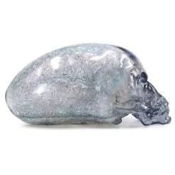 Crystal Skull – Indiana Jones And The Kingdom Of The Crystal Skull -Disney 6505048306608 3